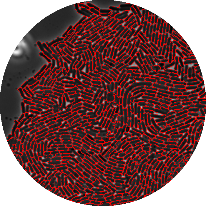 Microfluidic Chamber